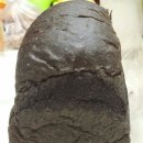 계남로334번길 | 경기도 부천시, 뚜레쥬르 신상빵 후기