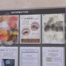 지축속눈썹펌 너무 꼼꼼하게 잘해주는 나의하루 방문 후기!