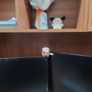 엘폼