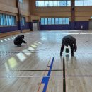 성포체육관 이미지