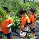 성보농장 이미지