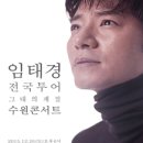 임태경 전국투어콘서트 그대의 계절 이미지