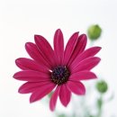 아이마당 이미지