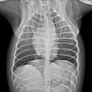 다니엘동물병원 이미지