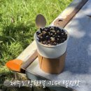 벨진밧별관 | 제주투어패스 활용 꿀팁 | 서귀포 박한별 카페 벨진밧 솔직 방문 후기