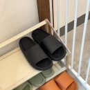 댕데이지 이미지