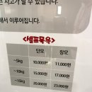 애견발자국 이미지