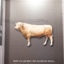 불고기팜농어촌테마공원 티스토리