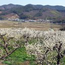 하동군농업기술센터 이미지