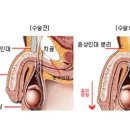 목욕나라 대중사우나 이미지