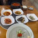 행복한콩박사