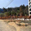 롯데마트수완점태양광발전소 | [광주 휀스] 이직 후에도 다시 찾는 신뢰! 봉선동 한국아델리움57 옥외 검정 메쉬휀스 H1.8 파일항타...