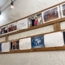 해변짚불곰장어 이미지