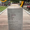 구절리역 | [강원도] 정선 필수코스 가볼만한곳 정선레일바이크 후기