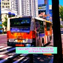 서울듀크의원 이미지