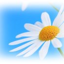 육하원칙 이미지