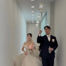 더포레 웨딩홀[디센드스냅 예약후기⭐️]