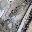 야은로-23 이미지