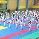 해인태권도 이미지