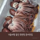 죽변대우 | 가을여행 울진 죽변항 문어맛집