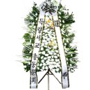 종안 이미지