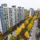 감정가보다 10억 비싼데…분위기 심상치 않은 '아파트 경매' 이미지