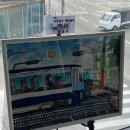 노부스테라 이미지