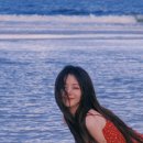 란향 이미지