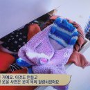 시진농장 이미지