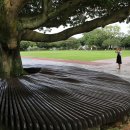 선흘 그곳 이미지