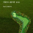 하늘가람 | 경기도 골프장 남여주CC 야간 라운드 후기(가람 마루 코스)