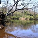 송천목장 이미지