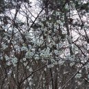혜담 한의원 | [3월 일상기록 : 슬금슬금 봄이 왔다]