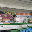 다올마트 이미지