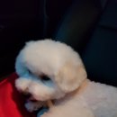제이 그루밍 이미지
