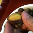 단밤 네이버블로그
