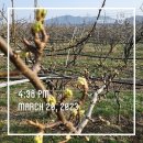 들녘농장 이미지