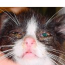 동래종합동물병원 이미지