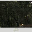 시소곡성