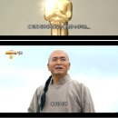 콜라Ⅱ