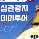 몽키 주식회사 이미지