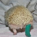 작은 친구 동물병원 이미지