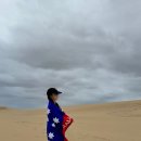 코알라홈 | 시드니 포트스테판 투어로 사막부터 코알라까지 보고 옴