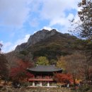 사자봉민박 | 191111 장성 백암산 단풍 산행(백양사주차장-백양사-백학봉-상왕봉-사자봉 코스: 백양사 주차장 원점회귀)