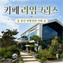 유리정원카페 - 창원시 마산회원구 광려로 95 | 용인 처인구 <카페 라임그라스> 대형 정원 카페 방문후기