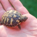 아우름 동물병원 이미지