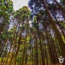 교래생태체험장 이미지