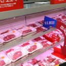 온키즈펜션 이미지