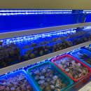 평택조개구이무한리필 이미지