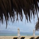 소울키친 | 호이안 안방 비치 추천 | 소울키친 식사 후기